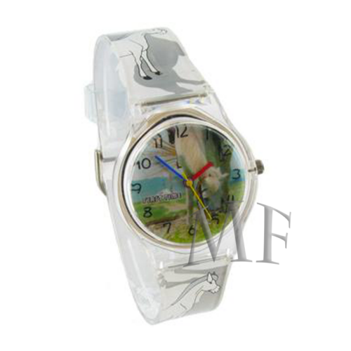 montre cheval equitation