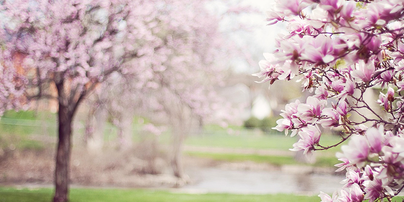Quelles couleurs tendance à porter pour ce printemps 2026. - Illustration photo de Jill Wellington
